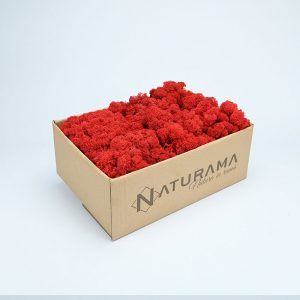 Licheni decorativi cutie 500 grame Rosu
