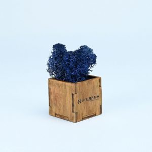 Licheni decorativi cutie 500 grame Albastru Marin
