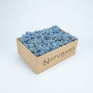 Licheni decorativi cutie 500 grame Albastru Ice