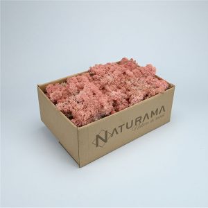 Licheni decorativi cutie 500 grame Roz pudrat
