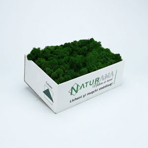Licheni decorativi Naturama PREMIUM cutie 1000 grame Verde Inchis INTENS