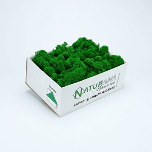 Licheni decorativi Naturama PREMIUM cutie 500 grame Verde Mediu INTENS