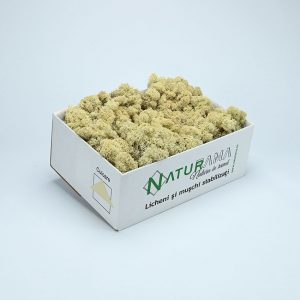 Licheni decorativi Naturama PREMIUM cutie 500 grame Alb Neutru INTENS