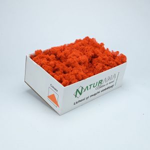 Licheni decorativi Naturama PREMIUM cutie 500 grame Orange INTENS