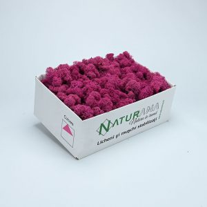 Licheni decorativi Naturama PREMIUM cutie 500 grame Fucsia INTENS