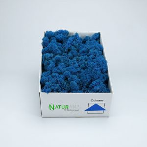 Licheni decorativi Naturama PREMIUM cutie 500 grame Albastru Azur INTENS