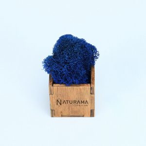 Licheni decorativi Naturama PREMIUM cutie 500 grame Albastru Marin INTENS