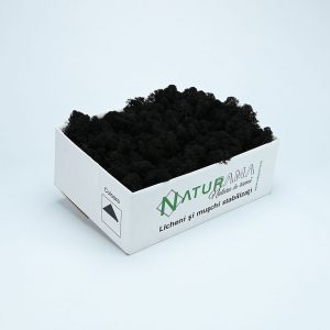 Licheni decorativi Naturama PREMIUM cutie 500 grame Negru INTENS