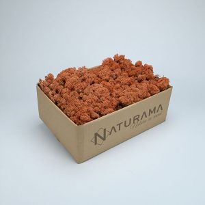 Licheni decorativi cutie 500 grame Rosu Caramiziu
