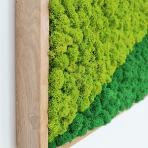 Tablou licheni mix verde Green Shades, 120×60 cm