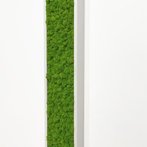 Tablou licheni 100×18 cm, rama alba
