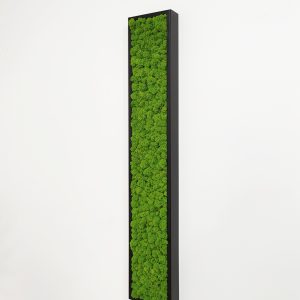 Tablou licheni 100×18 cm, rama neagra