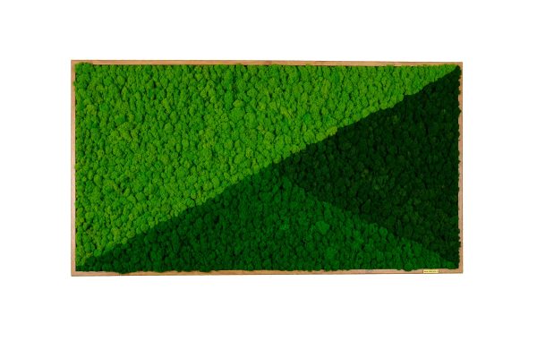 Tablou licheni mix verde Green Shades 120×60 cm 1 scaled