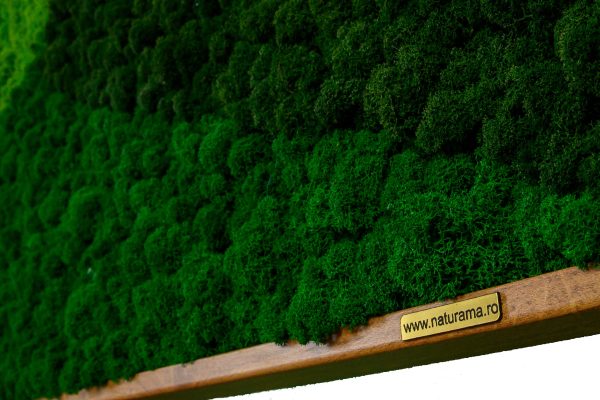 Tablou licheni mix verde Green Shades 120×60 cm 2 scaled