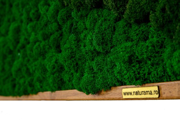 Tablou licheni mix verde Green Shades 120×60 cm 3 scaled