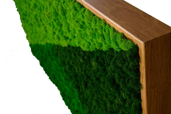 Tablou licheni mix verde Green Shades 120×60 cm 4 scaled